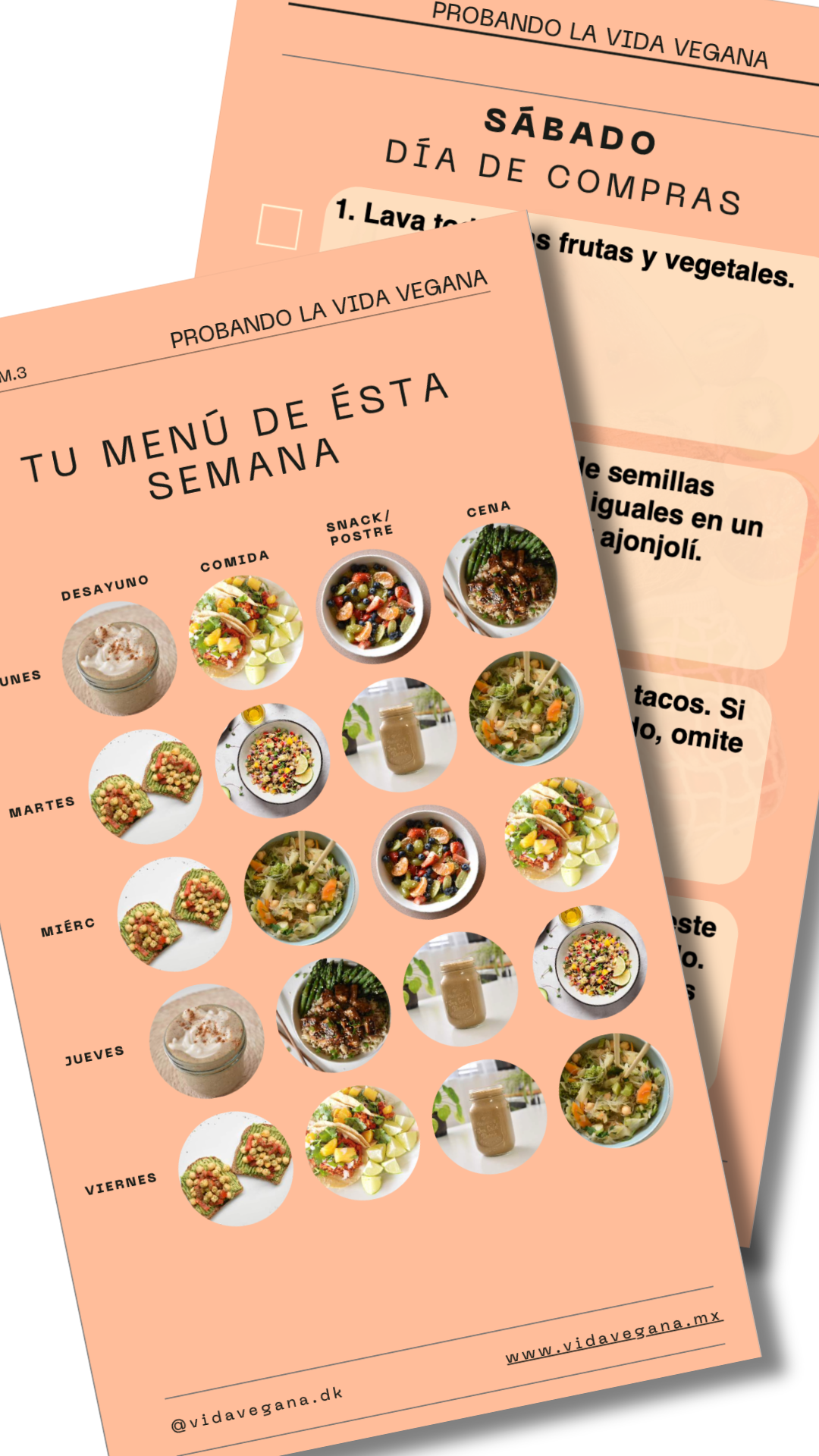 Menú Semanal (marzo semana 3)