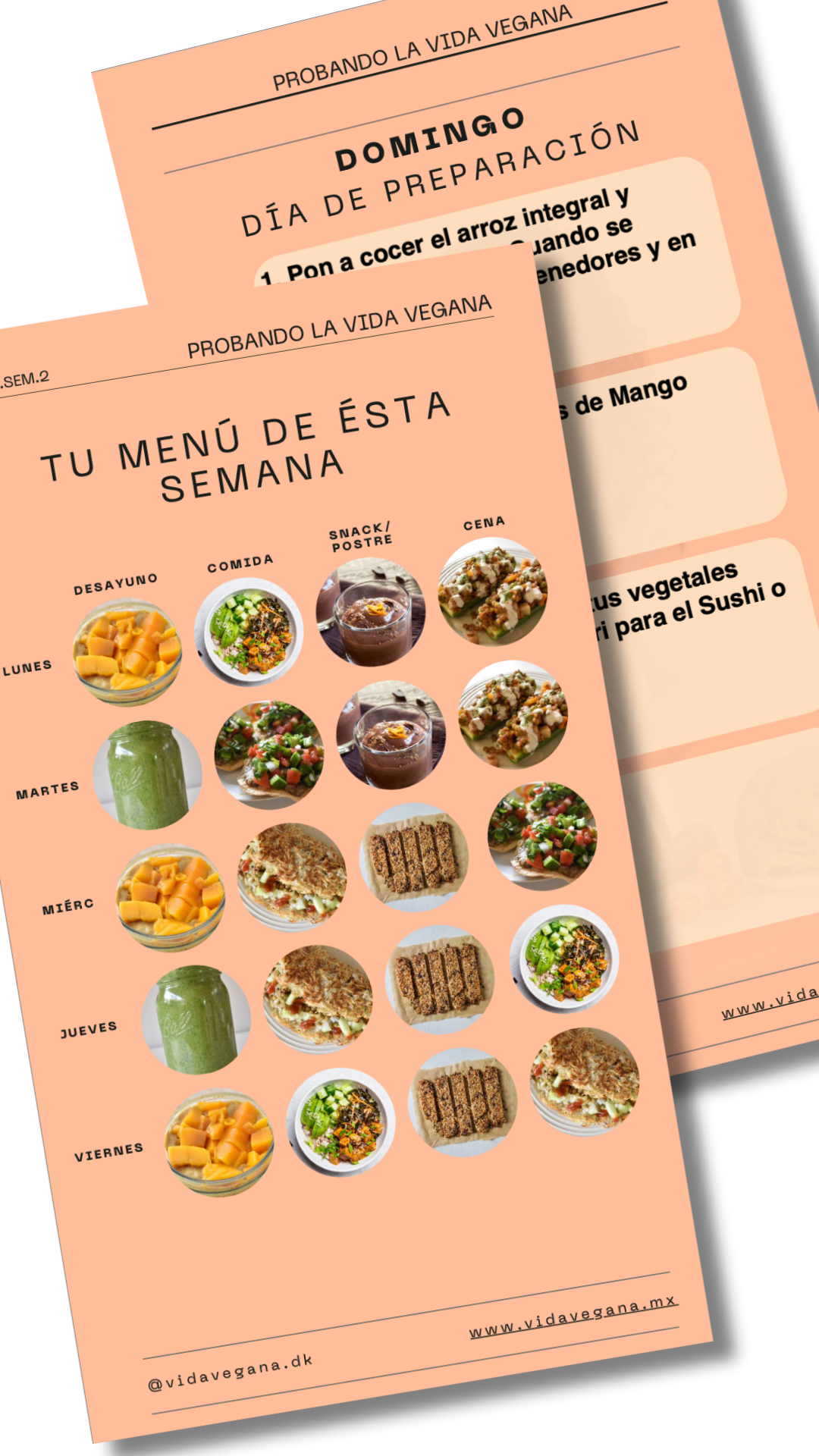 Menú Semanal (marzo semana 2)