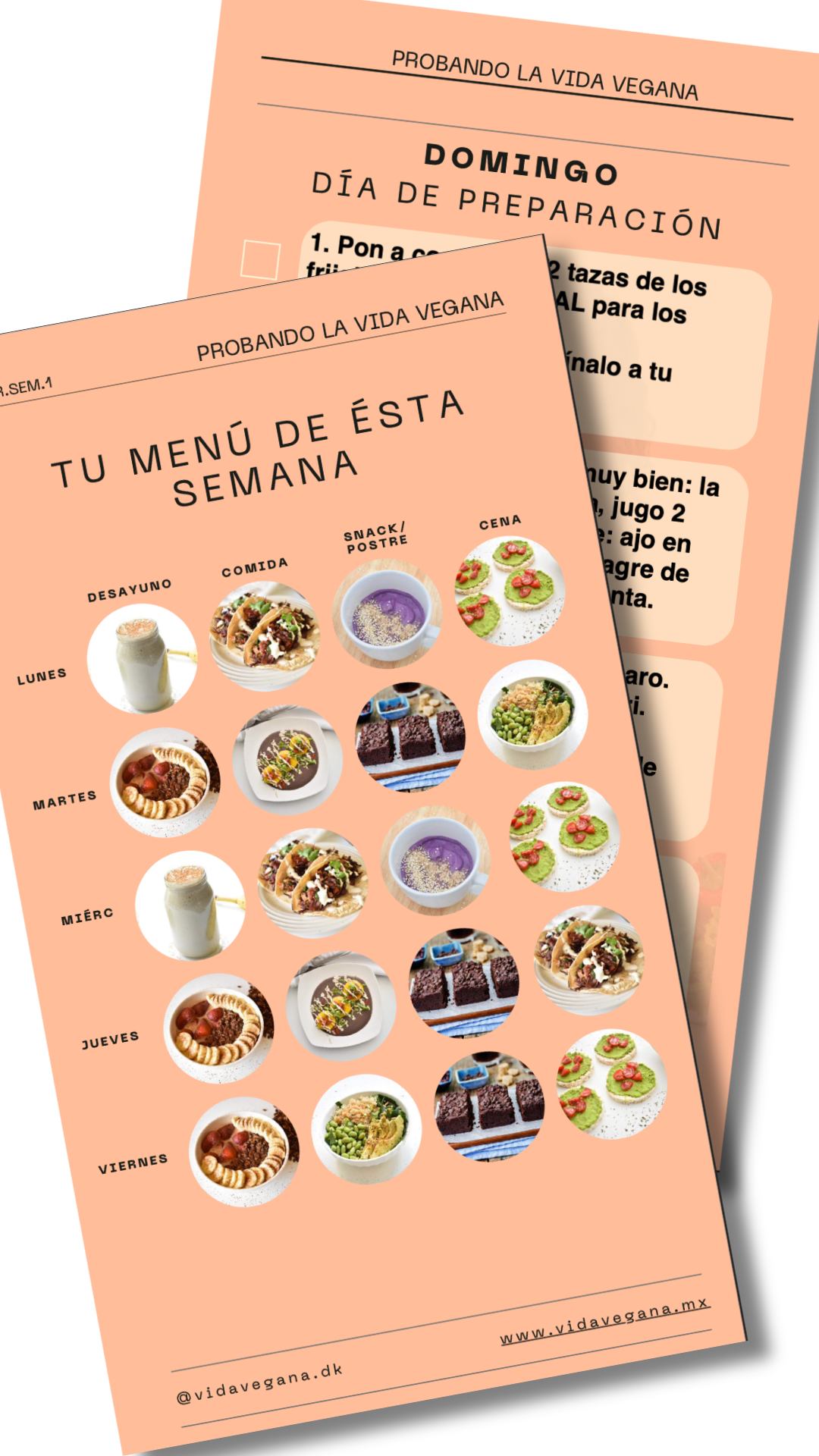 Menú Semanal (abril semana 1)