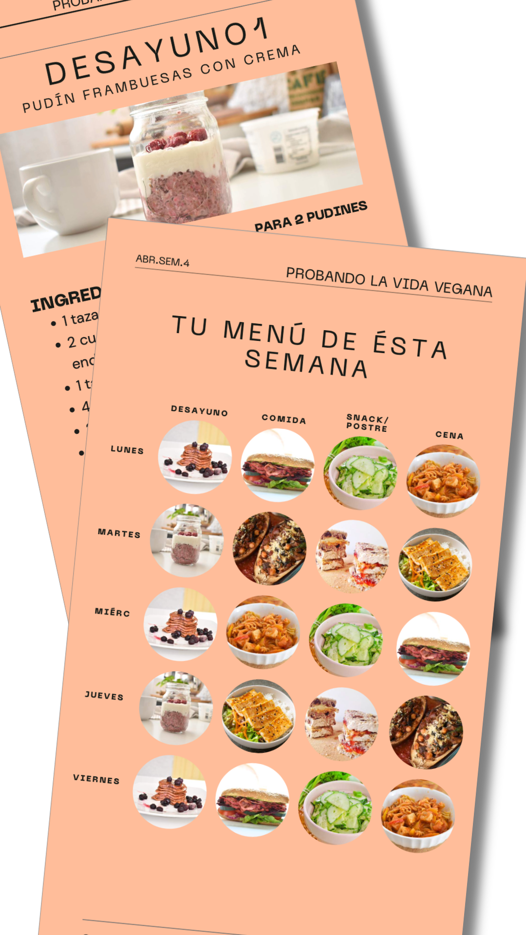 Menú Semanal (abril semana 4)