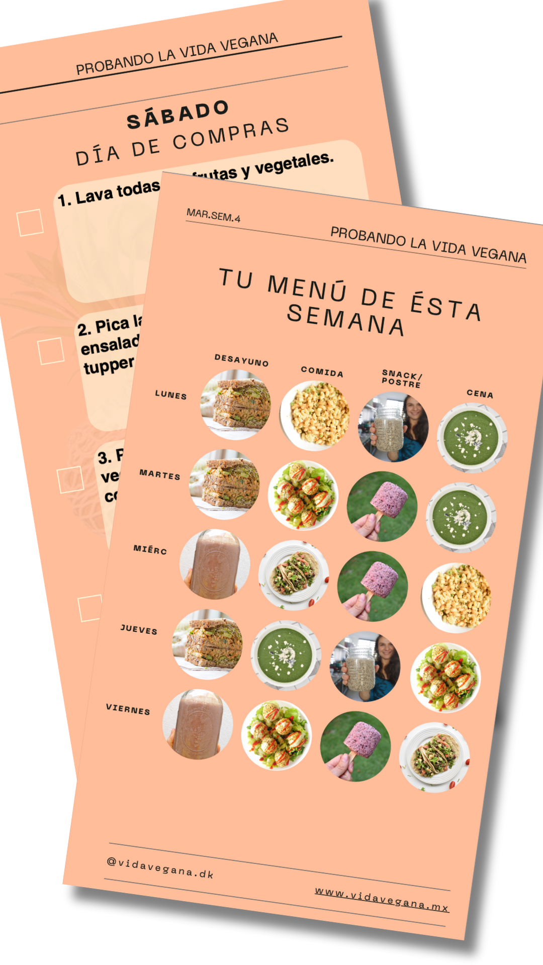 Menú Semanal (marzo semana 4)