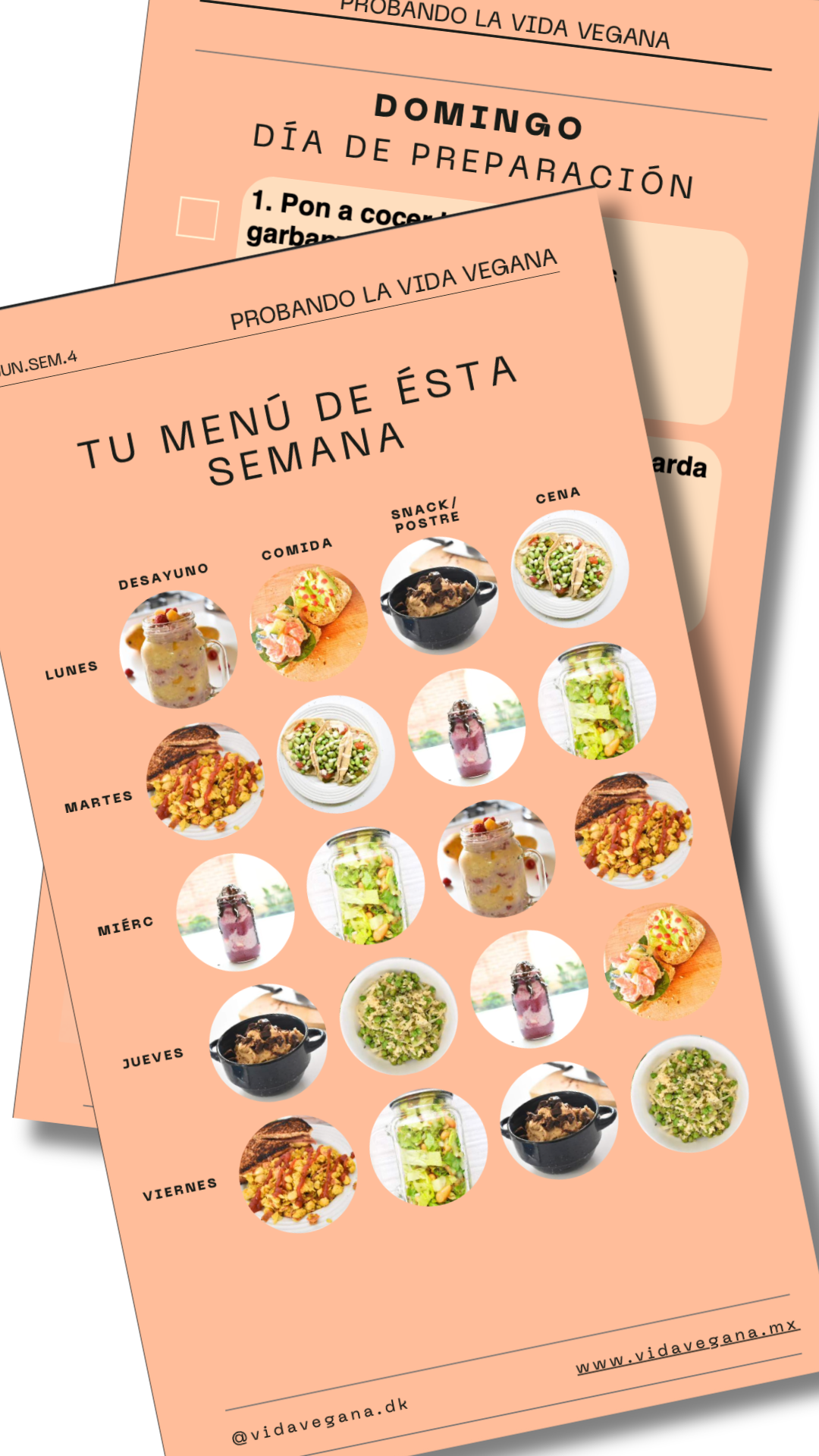 Menú Semanal (junio semana 4)